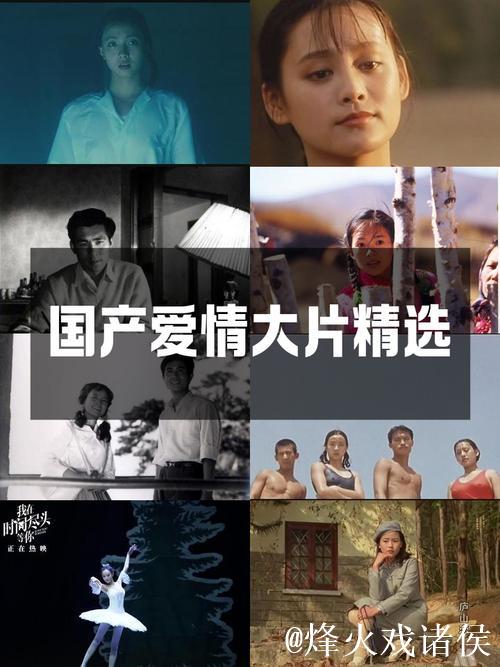 深入探讨：97国产精品影视的魅力与传承