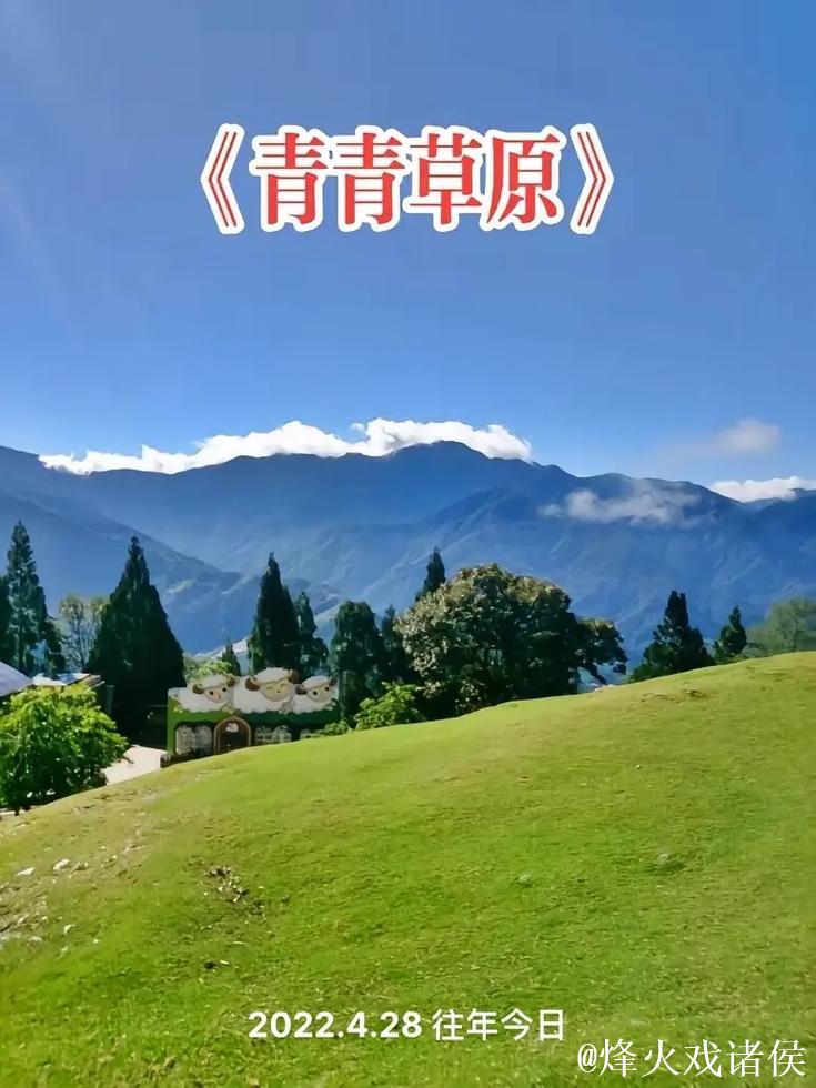 91青青草原线免费观看