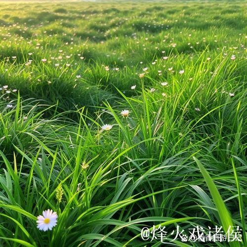 久久青青草,绿意盎然的诗意时光 久久青青草,绿意盎然的诗意时光