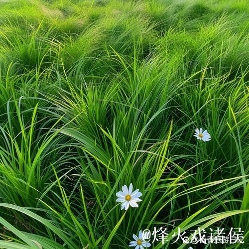 久久青青草,绿意盎然的诗意时光 久久青青草,绿意盎然的诗意时光